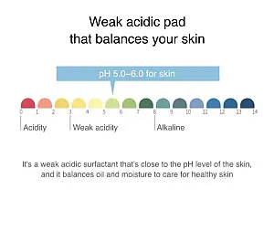 ROUND LAB Birch Juice Moisturizing Pad 80pcs - 150 gr